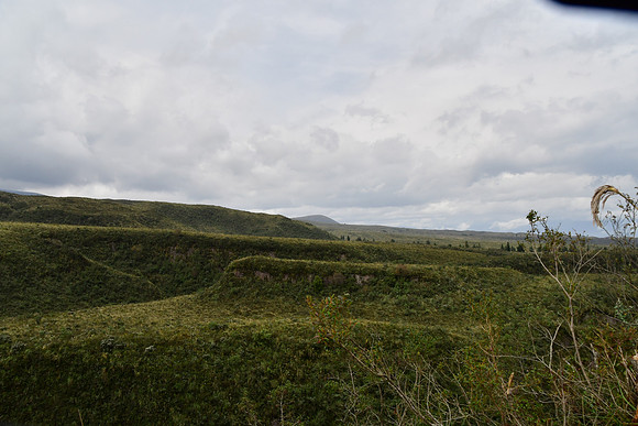 DSC_2815