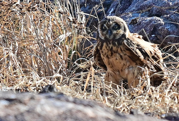 DSC_5673_01