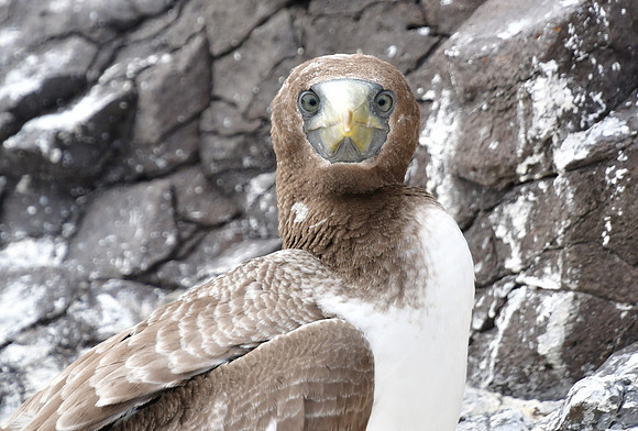 DSC_3489_01