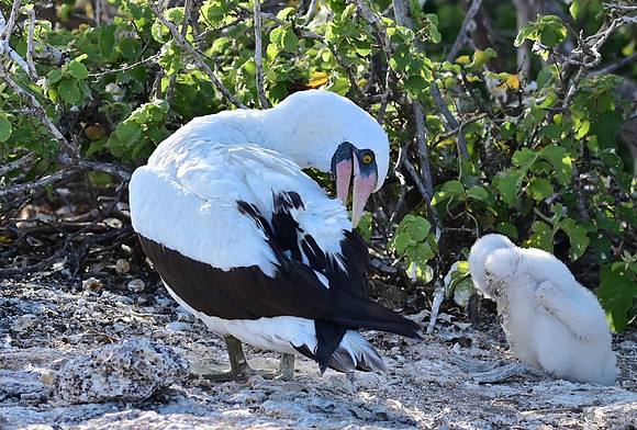 DSC_5613_01