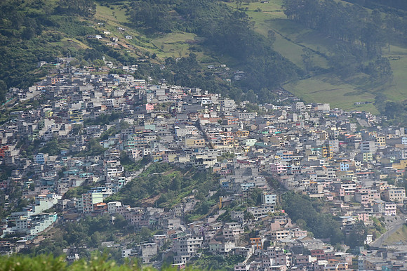 DSC_4505