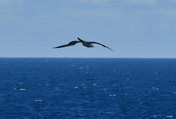 DSC_4111_01