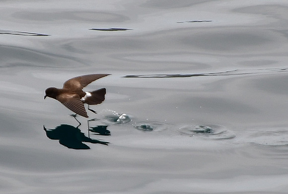 DSC_3584_01