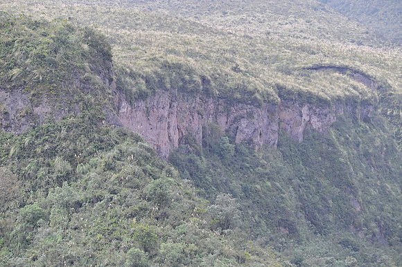 DSC_4589