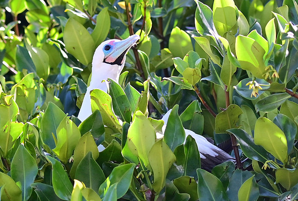 DSC_5751_01