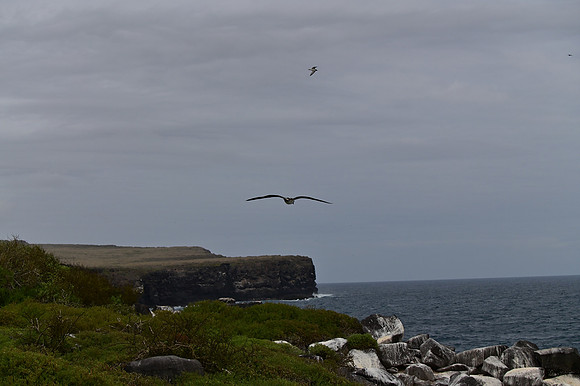 DSC_5102
