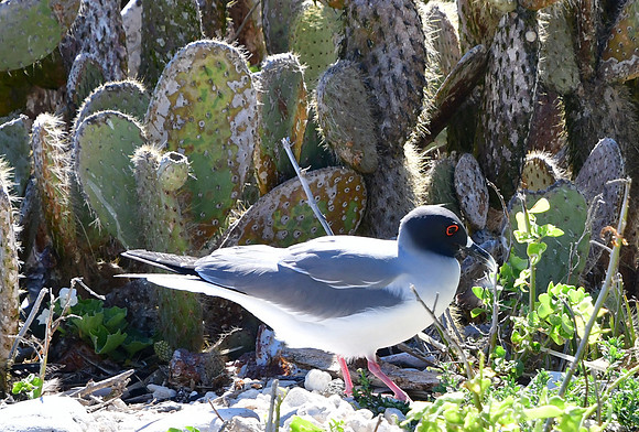 DSC_4232_01