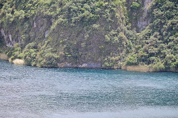 DSC_4763