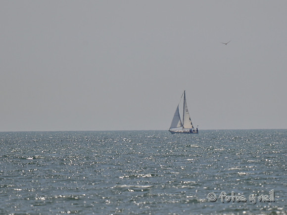 DSC_3227_01