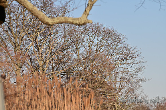 DSC_1946