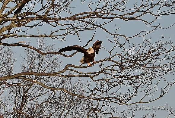 DSC_1927