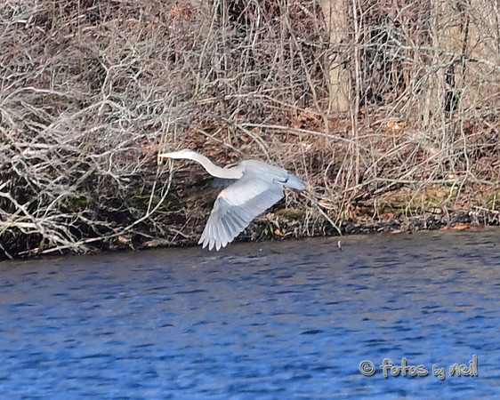 DSC_1816