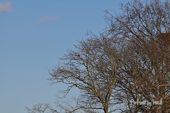 DSC_1879