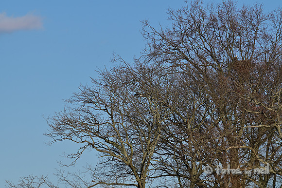 DSC_1890