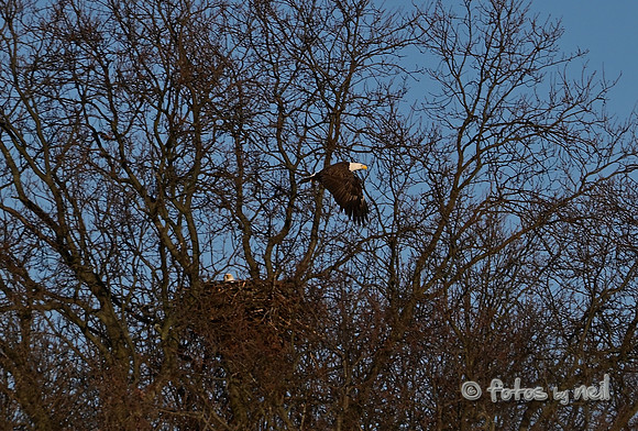 DSC_1866