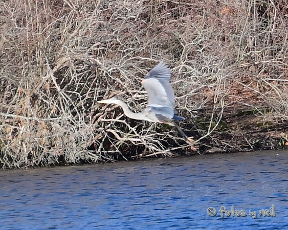 DSC_1817