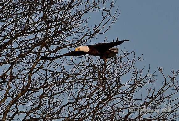 DSC_1957