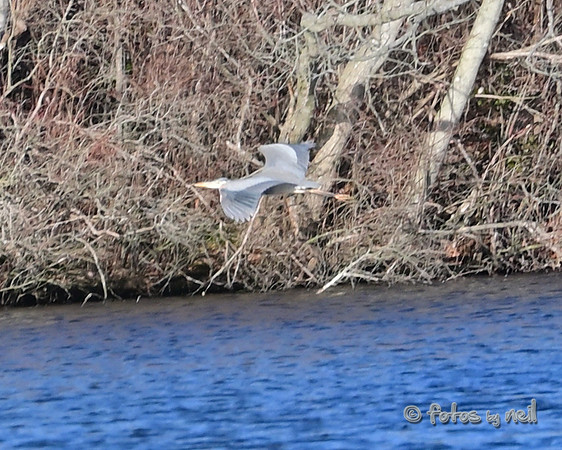 DSC_1815