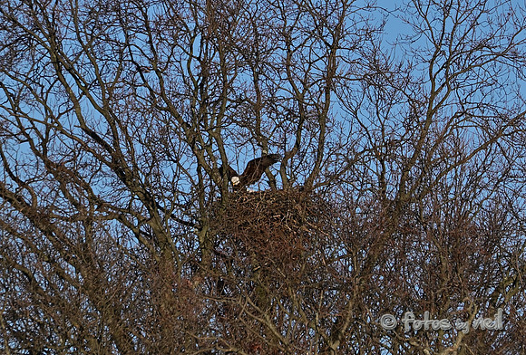 DSC_1882