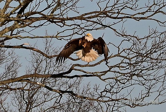 DSC_1930