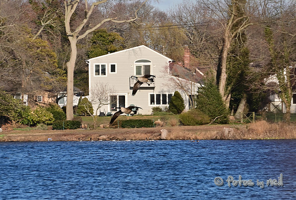DSC_1857