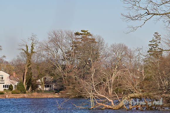 DSC_1856