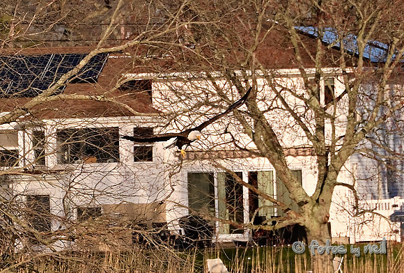 DSC_1949