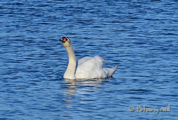 DSC_1825