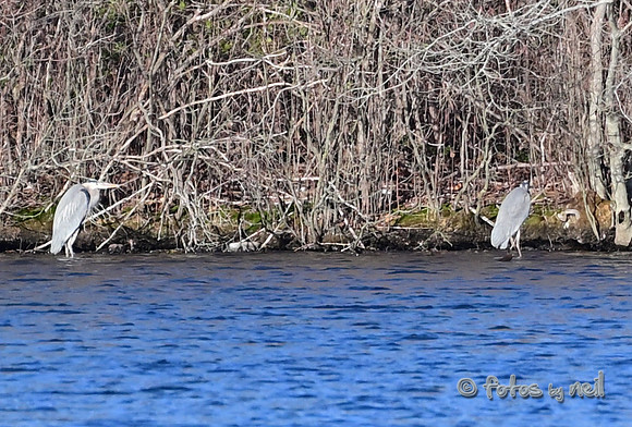 DSC_1820