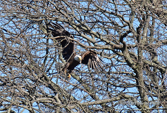 DSC_2253_01