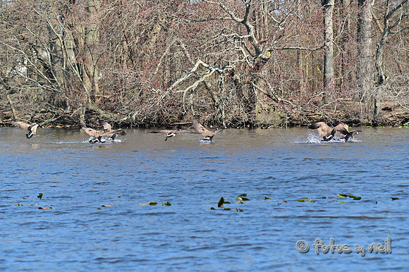 DSC_2268_01