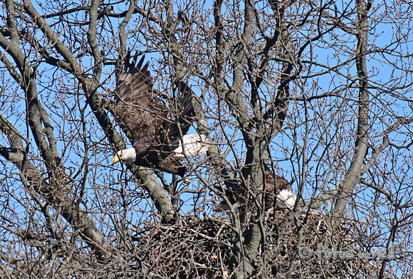 DSC_2248_01