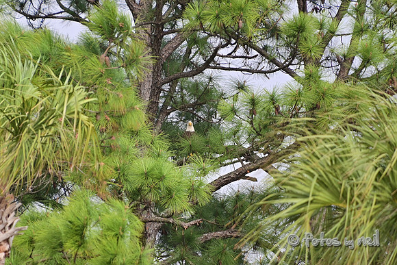 DSC_1251