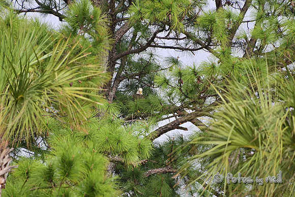DSC_1255