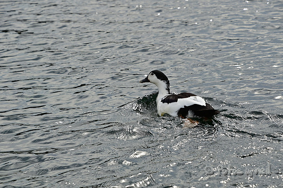 DSC_1424