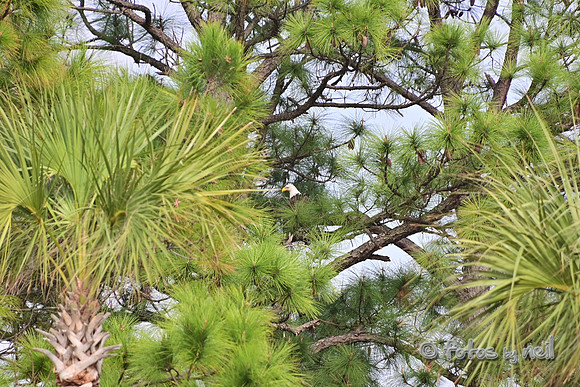 DSC_1265