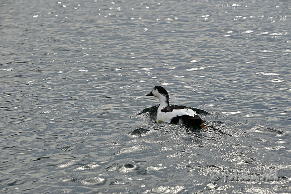 DSC_1422