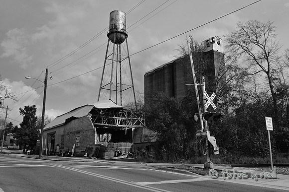 DSC_1505