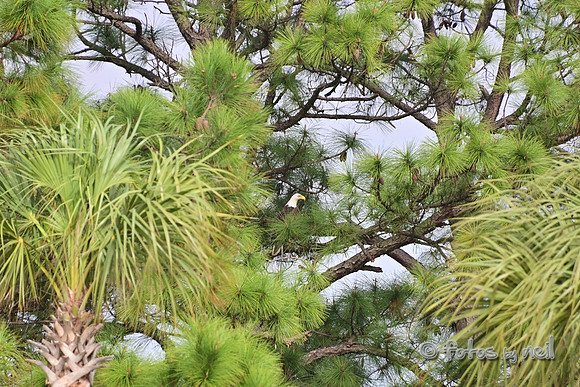 DSC_1267
