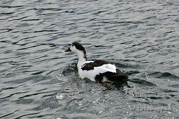 DSC_1426