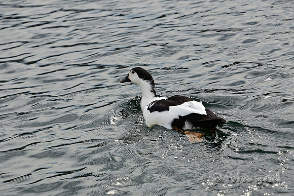 DSC_1425
