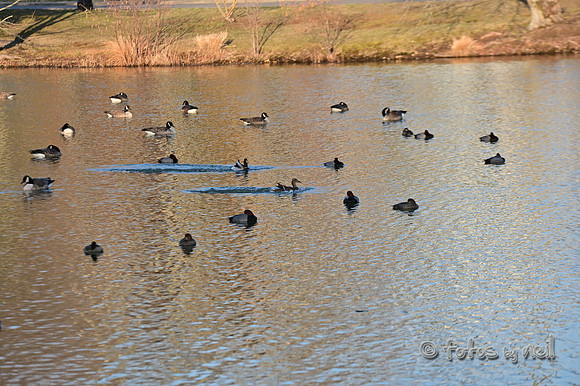 DSC_1148