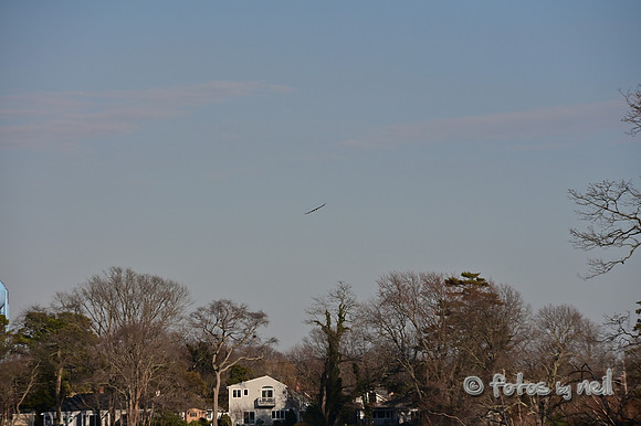 DSC_0912