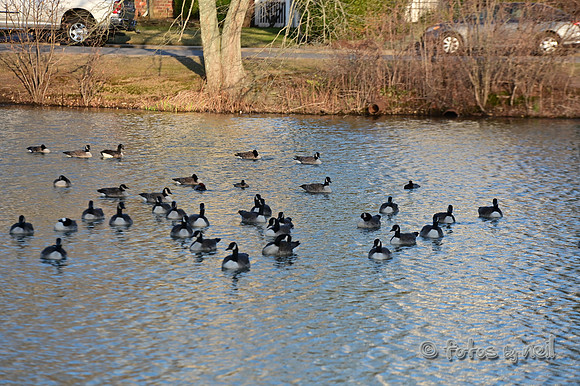 DSC_1169