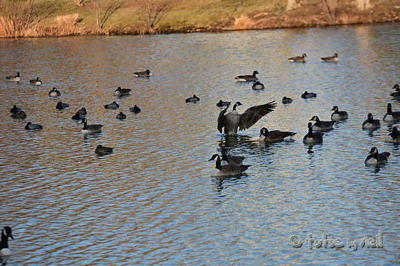 DSC_1179