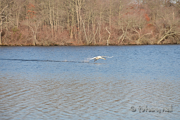 DSC_0962