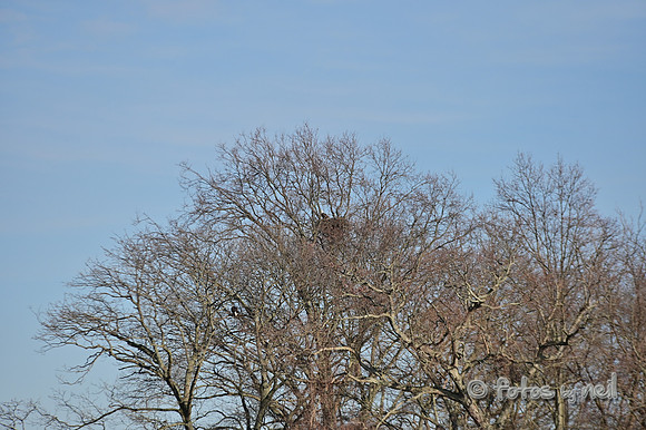 DSC_0902