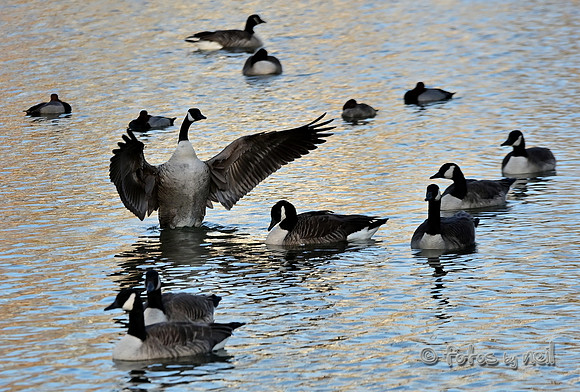 DSC_1178_01