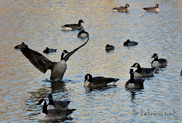 DSC_1180_01