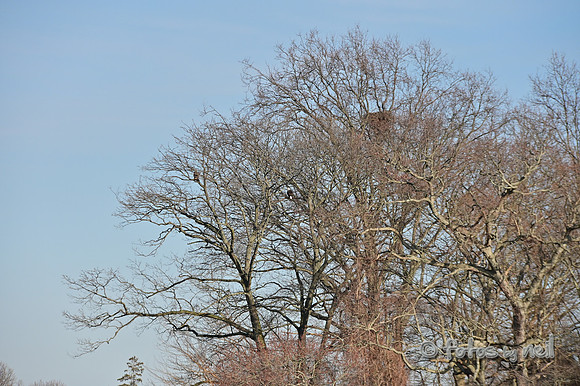 DSC_0909